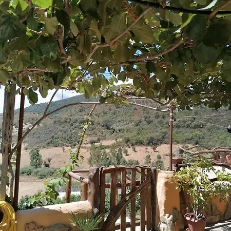Gasthof Sa Cronta Affitacamere